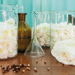 Sample Service Acqua dell'Elba Huisparfum