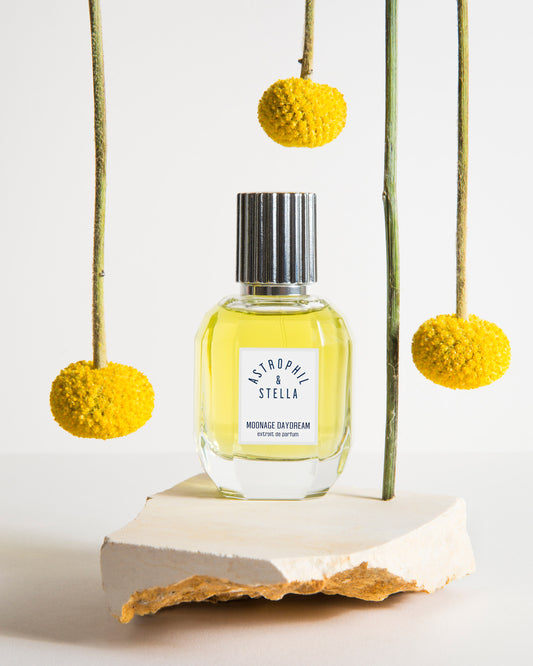 Moonage Daydream - Astrophil and Stella - 50ml